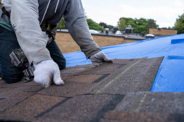 Best Chimney Flashing Repair  in Winchester, MO