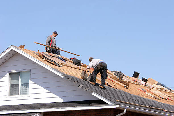 Best Roof Maintenance and Cleaning  in Winchester, MO